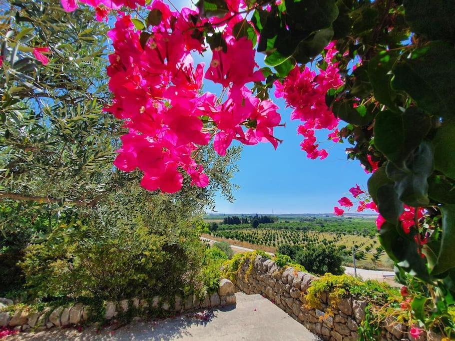 Villa Calma Noto Zewnętrze zdjęcie